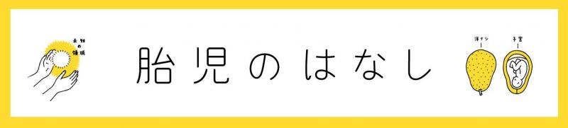 胎児のはなし