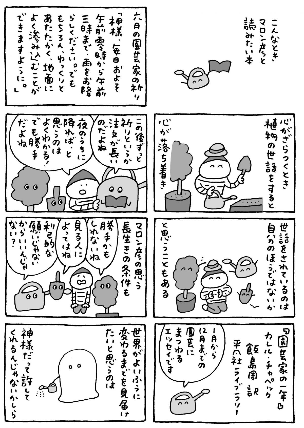 マロン彦_20260624_pc4.jpg