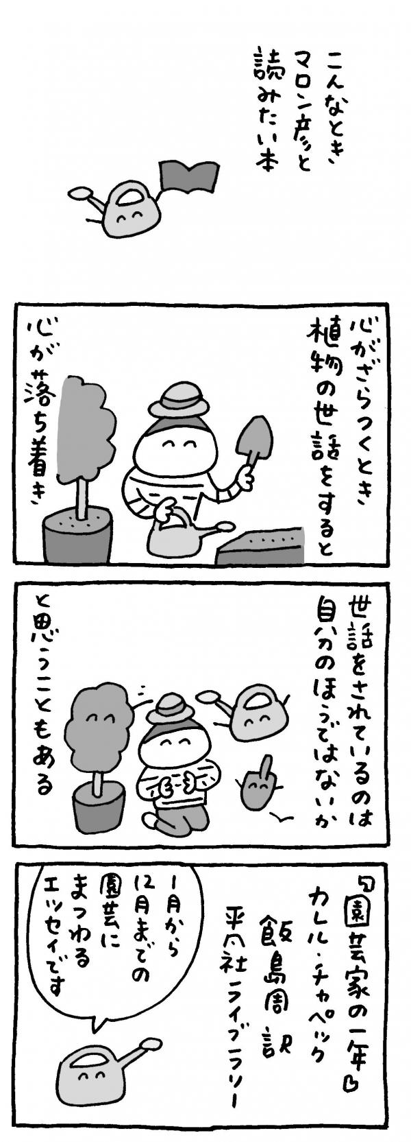 マロン彦_20260624_sp7.jpg