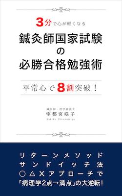 電子書籍表紙3分でのコピー.jpg