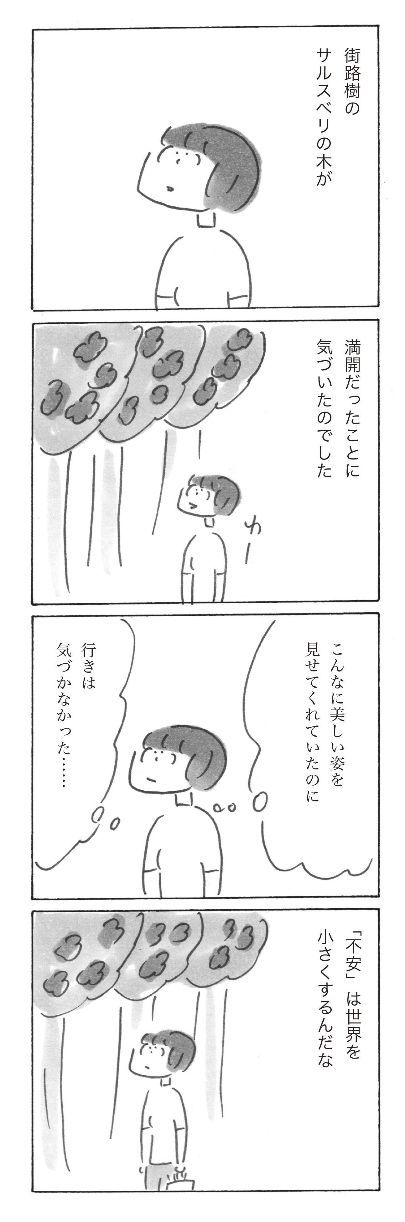 2609-sp2n.jpg