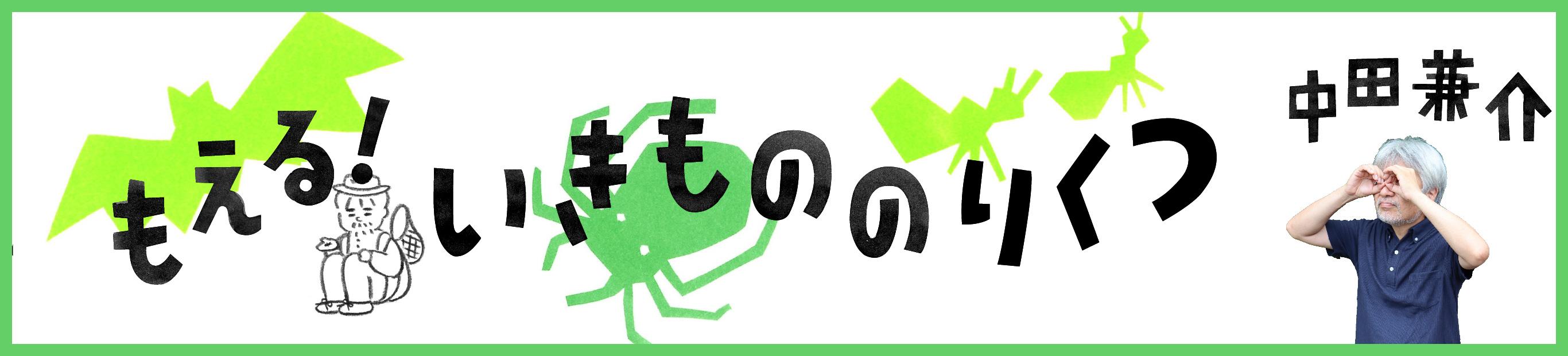 秋の田んぼで出会った！いきもののりくつ