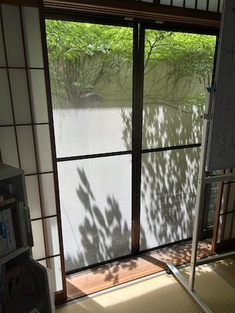IMG_4104.jpeg