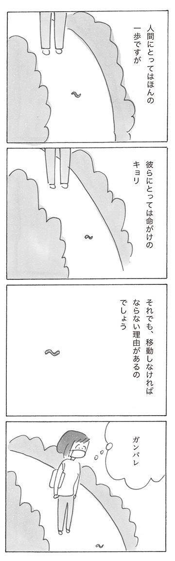 sp1202-11.jpg