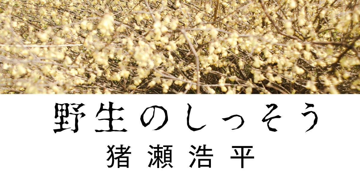 黙祷と叫び 2 みんなのミシマガジン 黙祷と叫び 2 みんなのミシマガジン