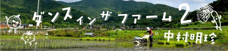 泊