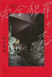 完全犯罪の恋